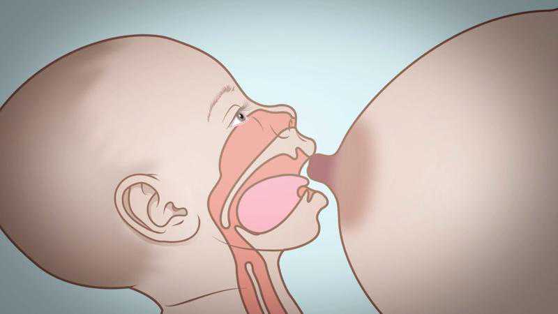 借卵代生中心移植冻胚医院会弄错胚胎导致宝宝不是亲生的吗?